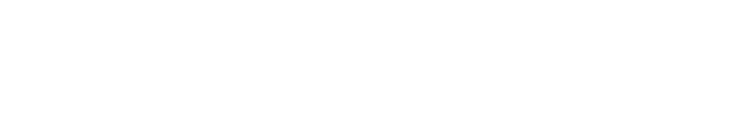 LISA INSTITUTE