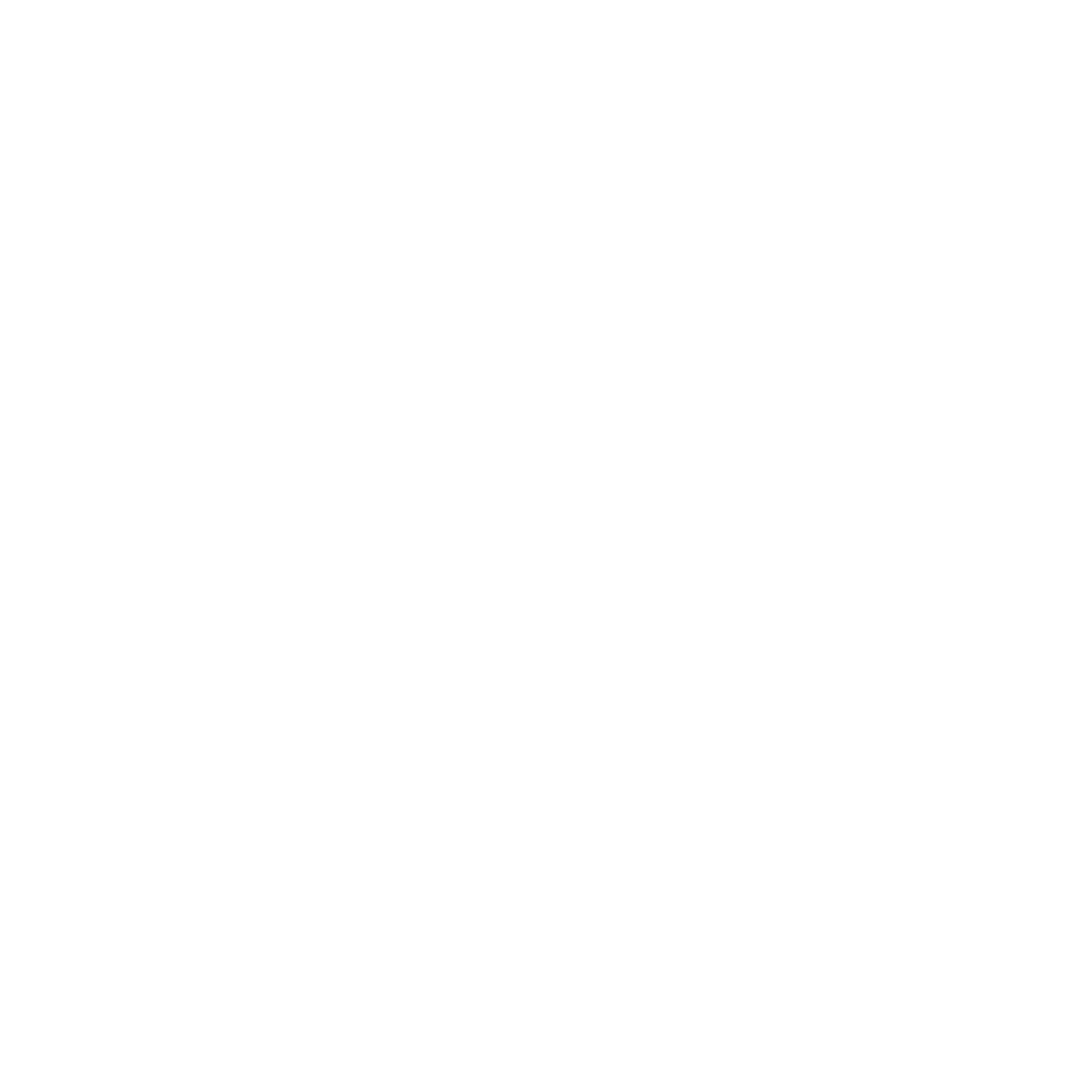 LISA Institute