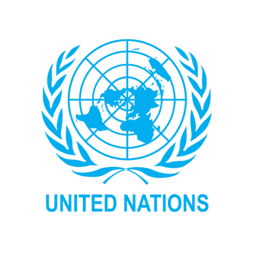 Logo Naciones Unidas